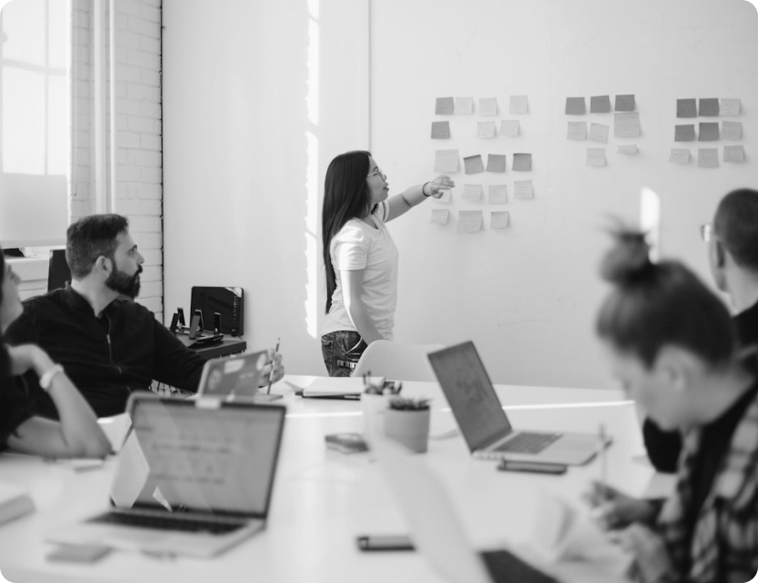 Boss as an Emerging Leader